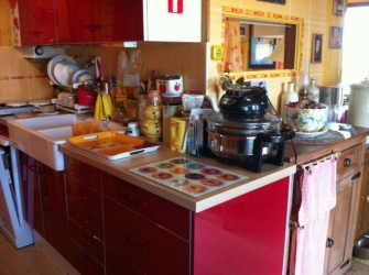 2 CHALETS BORD DE SEINE SUR 2669 m² DE PARC