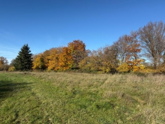 Fermette du Morvan sur 6555 m² de terrain attenant