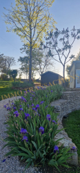 Maison de plain pied dans un jardin clos de murs
