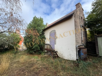 Maison de village avec garage et jardin