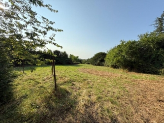 Maison indépendante sur terrain de plus de 7400 m²