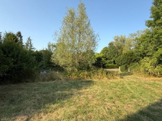 Maison indépendante sur terrain de plus de 7400 m²