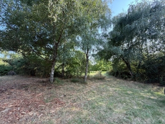 Maison indépendante sur terrain de plus de 7400 m²