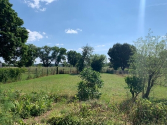 MORVAN-BELLE MAISON ANCIENNE 2 APPARTEMENTS ATELIER HANGAR