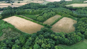 PARC NATUREL DU MORVAN PROPRIETE EXCEPTIONNELLE 40 Ha
