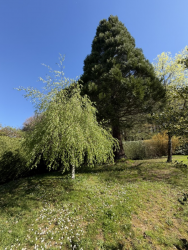 PARC NATUREL DU MORVAN, SUPERBE MAISON DE CARACTÈRE ANCIENNE