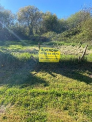 PETIT TERRAIN A BATIR EN BOURGOGNE