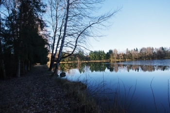 SUPERBE ETANG SUR PARCELLE DE 3 ha 47 a